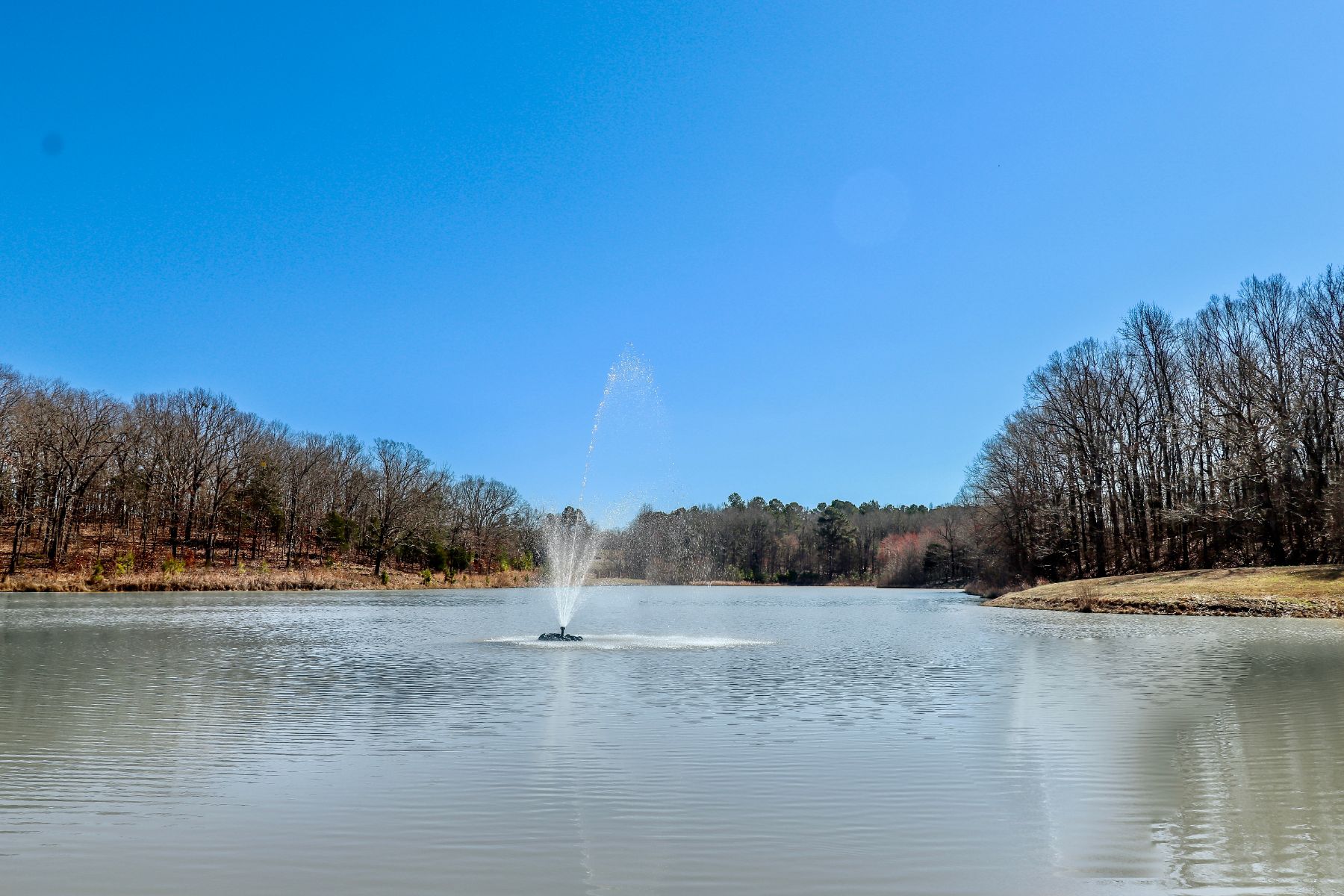 Steeplechase Cannon Cleary McGraw Oxford MS Real Estate